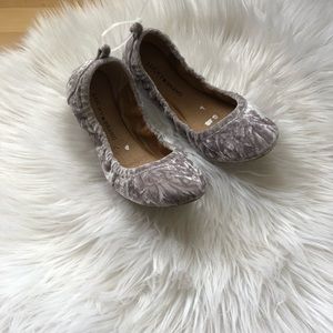 🆕 Lucky Brand | Gray Crushed Velvet "Emmie"
Ballet Flat